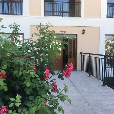 Vp Yurta *